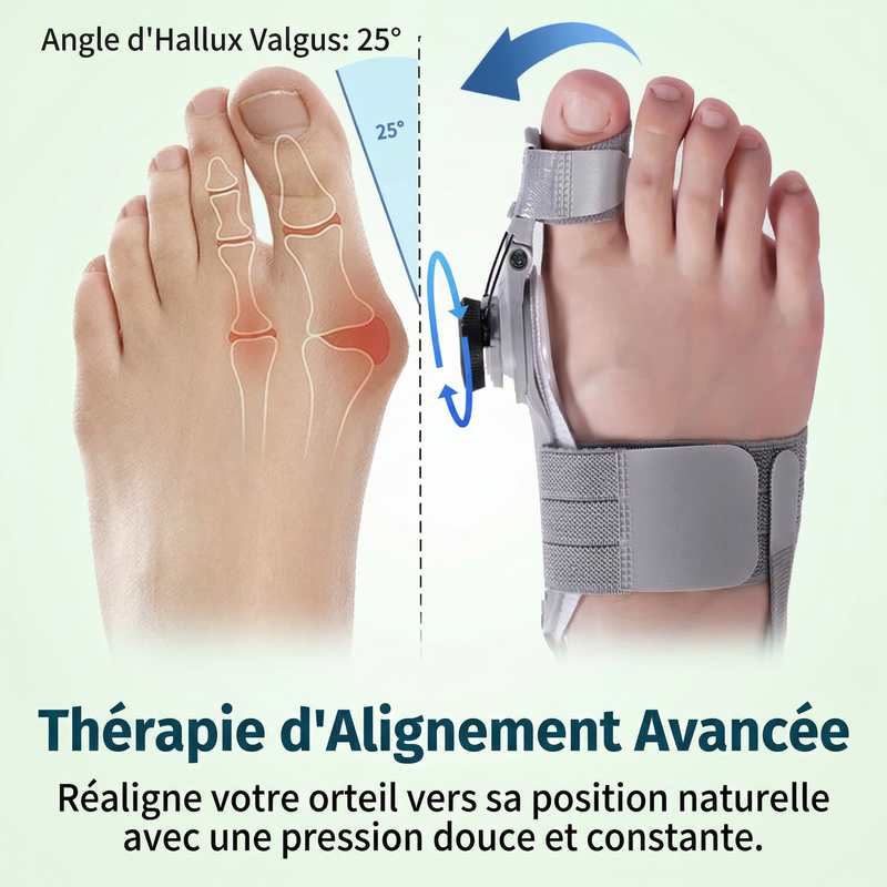 Correcteur d'Hallux Valgus OrthoFo